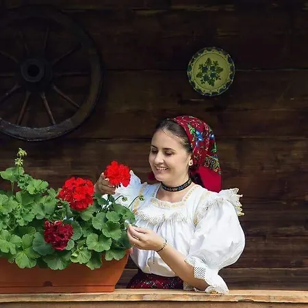 Vendégház Ileana Jód