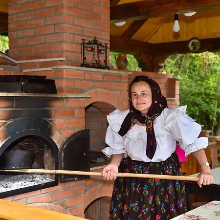 Vendégház Ileana Jód